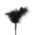 Sex & Mischief Feather Tickler in Black