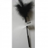 Sex & Mischief Feather Tickler in Black