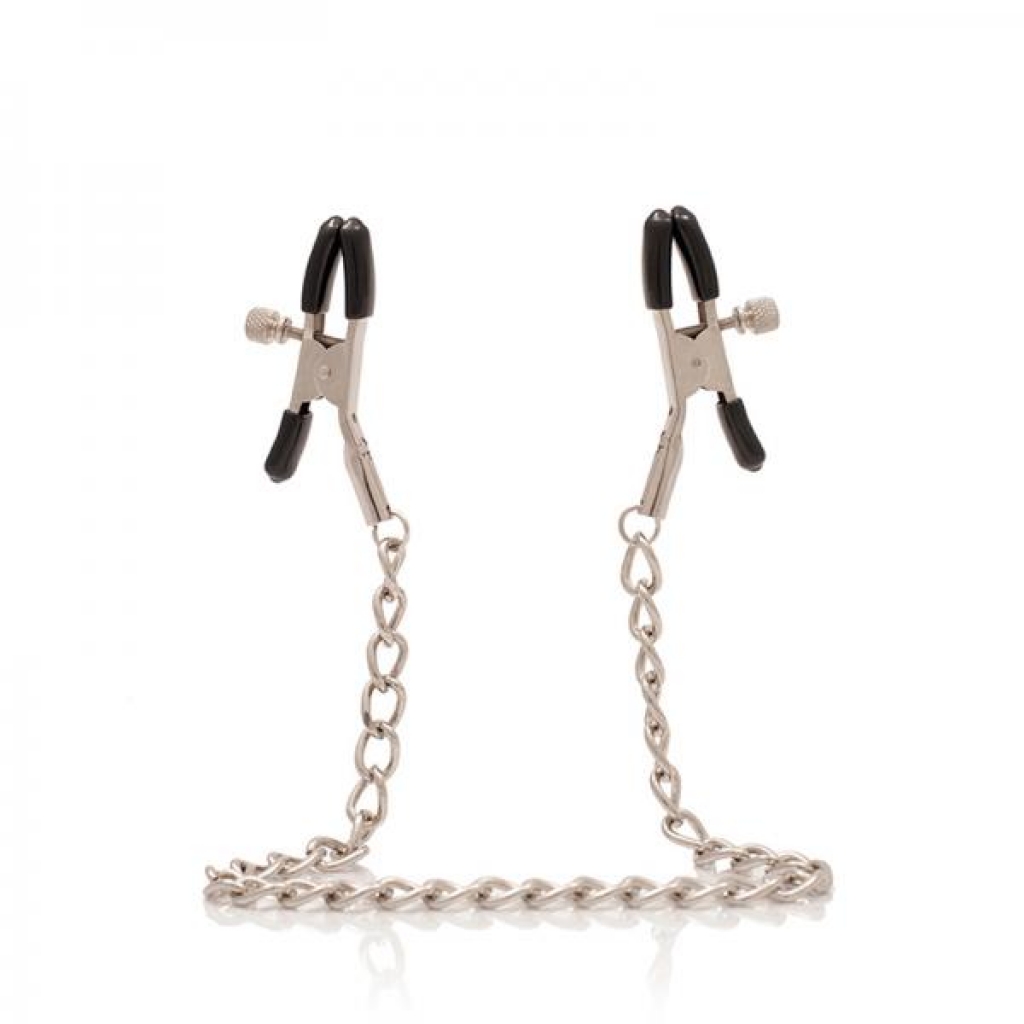 Adjustable Nipple Clamps with 14 Inch Chain - Silver