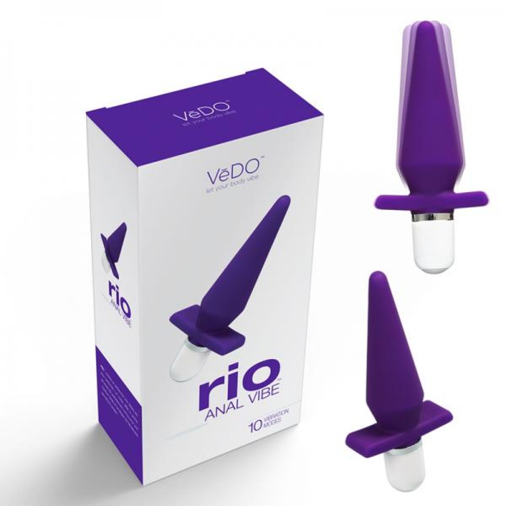 Vedo Rio Anal Vibe Into You - Indigo Purple