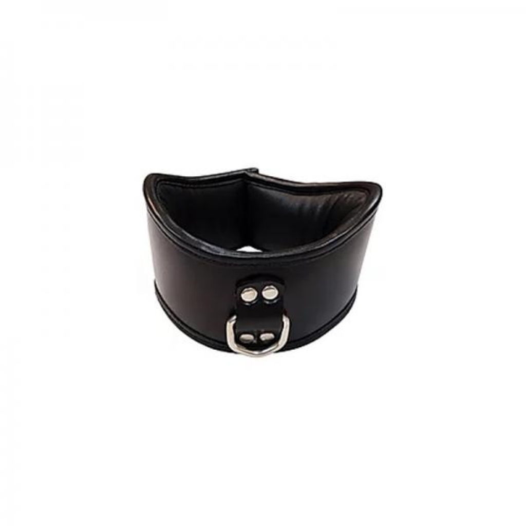 Premium Leather Posture Collar with D-Ring Attachment