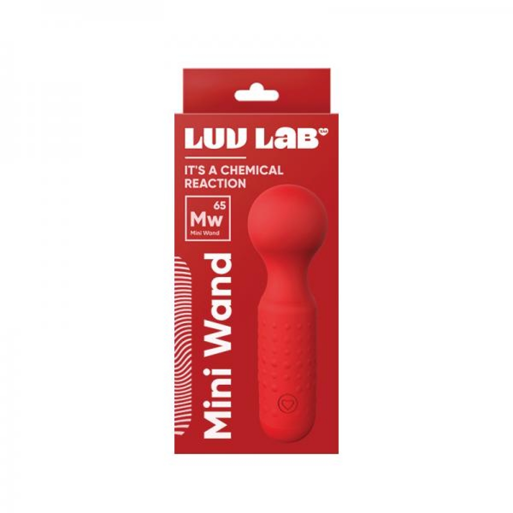 Love Lab Mw65 Mini Wand - Silicone