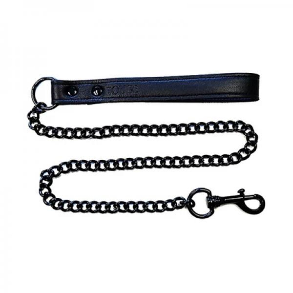 Sleek Leather Lead with Black Accessories