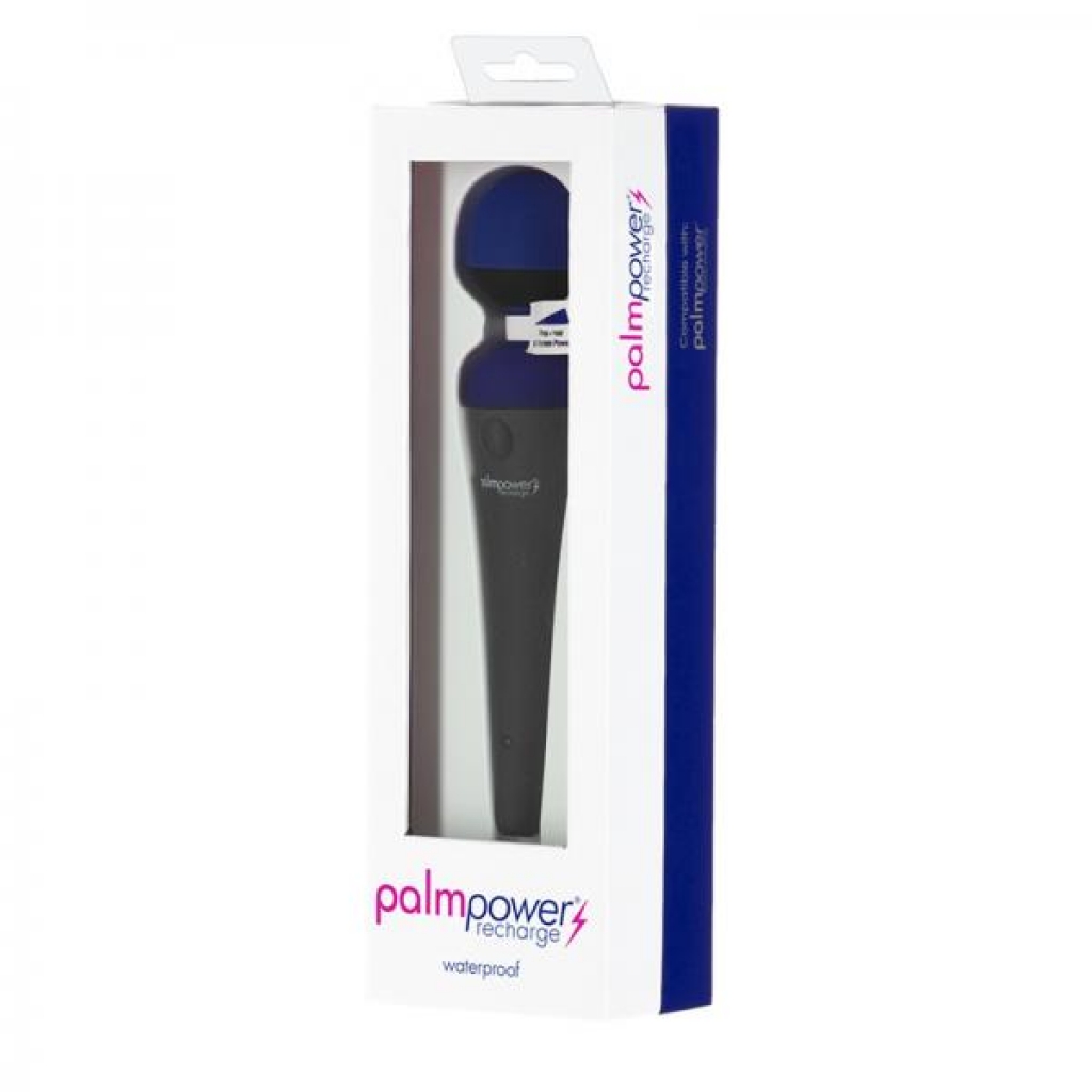 Palmpower Rechargeable Massager - USB Rechargeable Blue