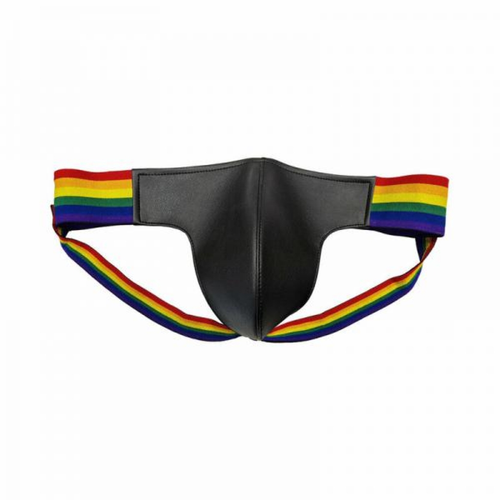 Rouge Leather Multicoloured Pride Jocks - Medium