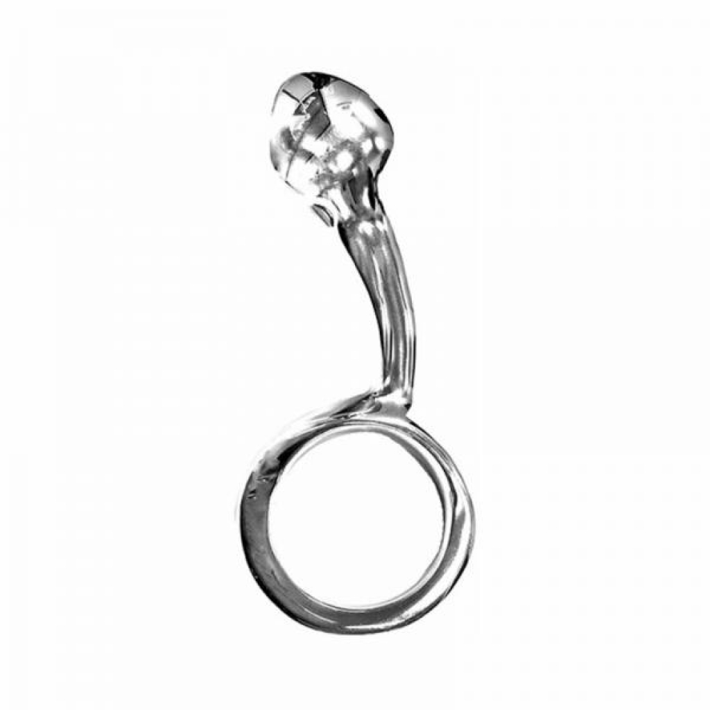 Rouge Stainless Steel Anal Passion Plug In Case - Silver