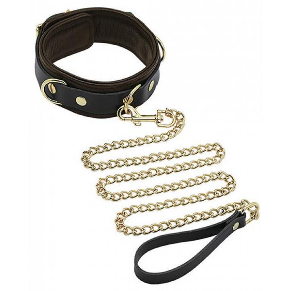 Spartacus Collar & Leash - Brown Leather with Gold Accents