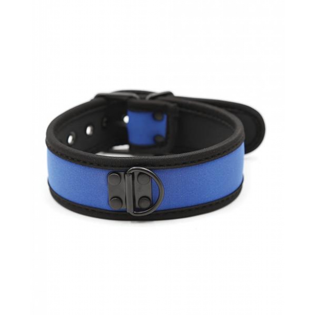 Plesur Neoprene Puppy Collar - Durable Control in Blue