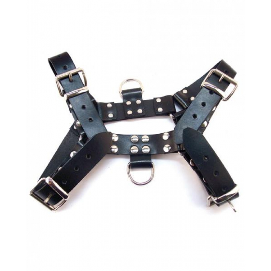 Rouge Over The Head X-Large Black Harness