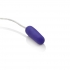 Whisper Micro Bullet - Ultra Quiet, Slim Vibrator