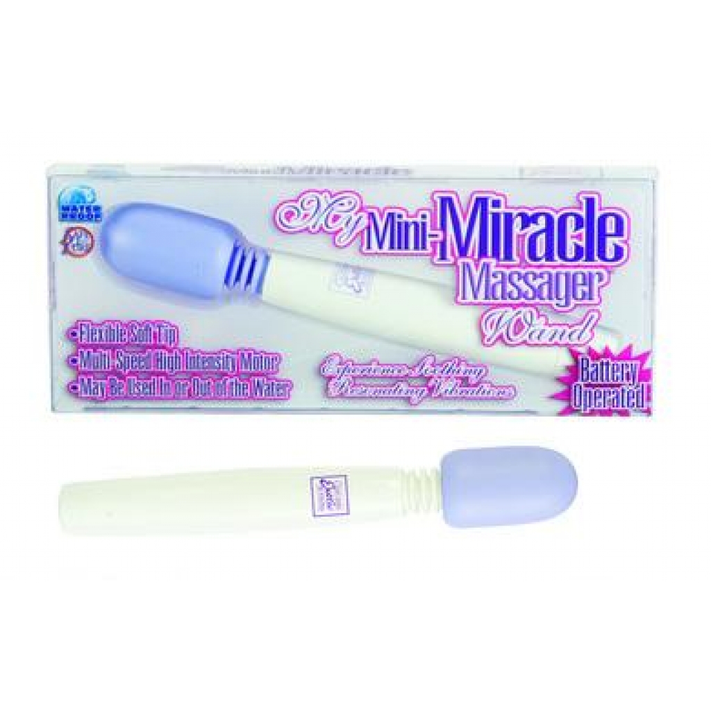 My Mini Miracle Massager - Purple