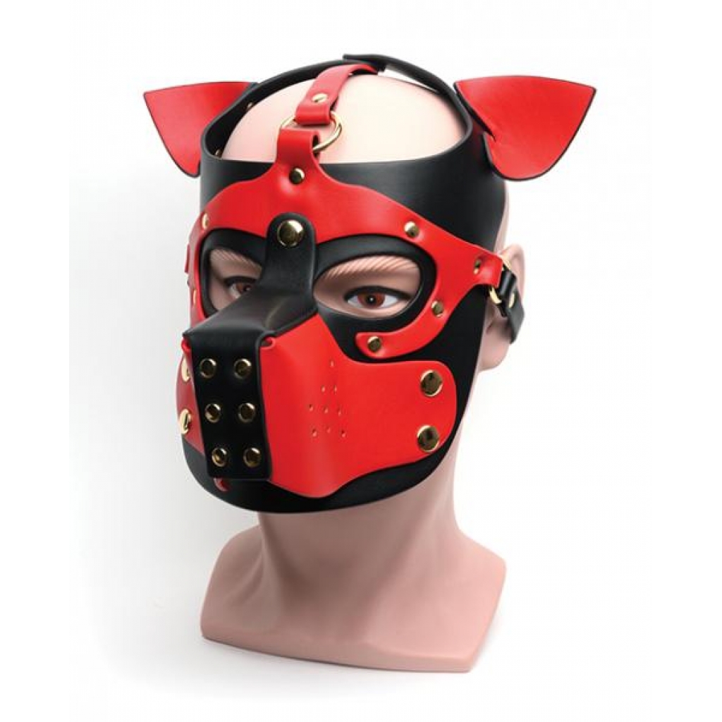 665 Bondage Pup Hood for Enthusiasts