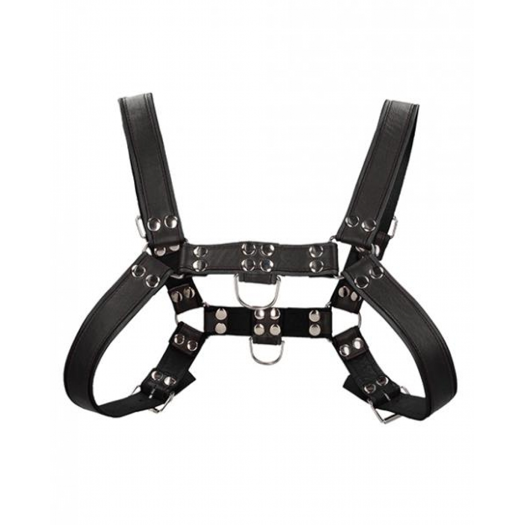 Shots Uomo Chest Bulldog Harness - Black L/XL