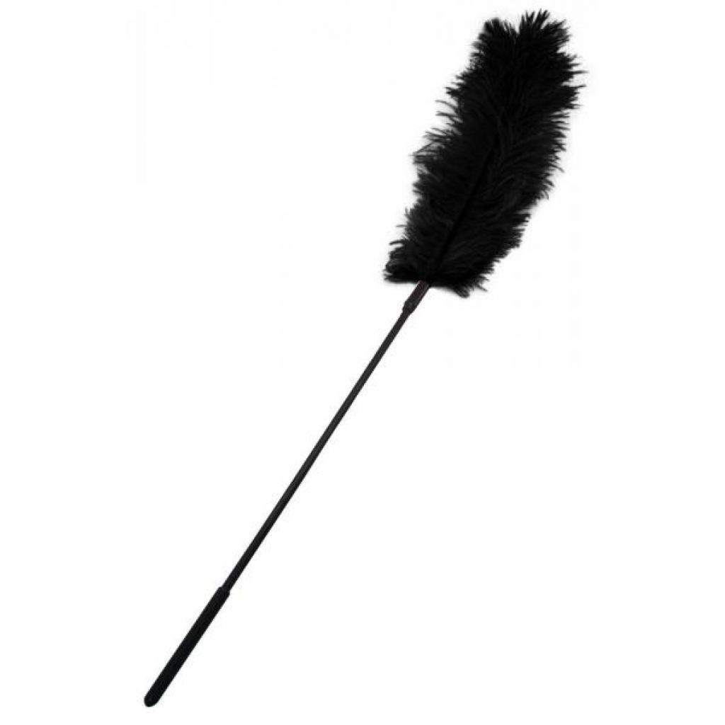 Ostrich Feather Body Tickler for Sensual Play