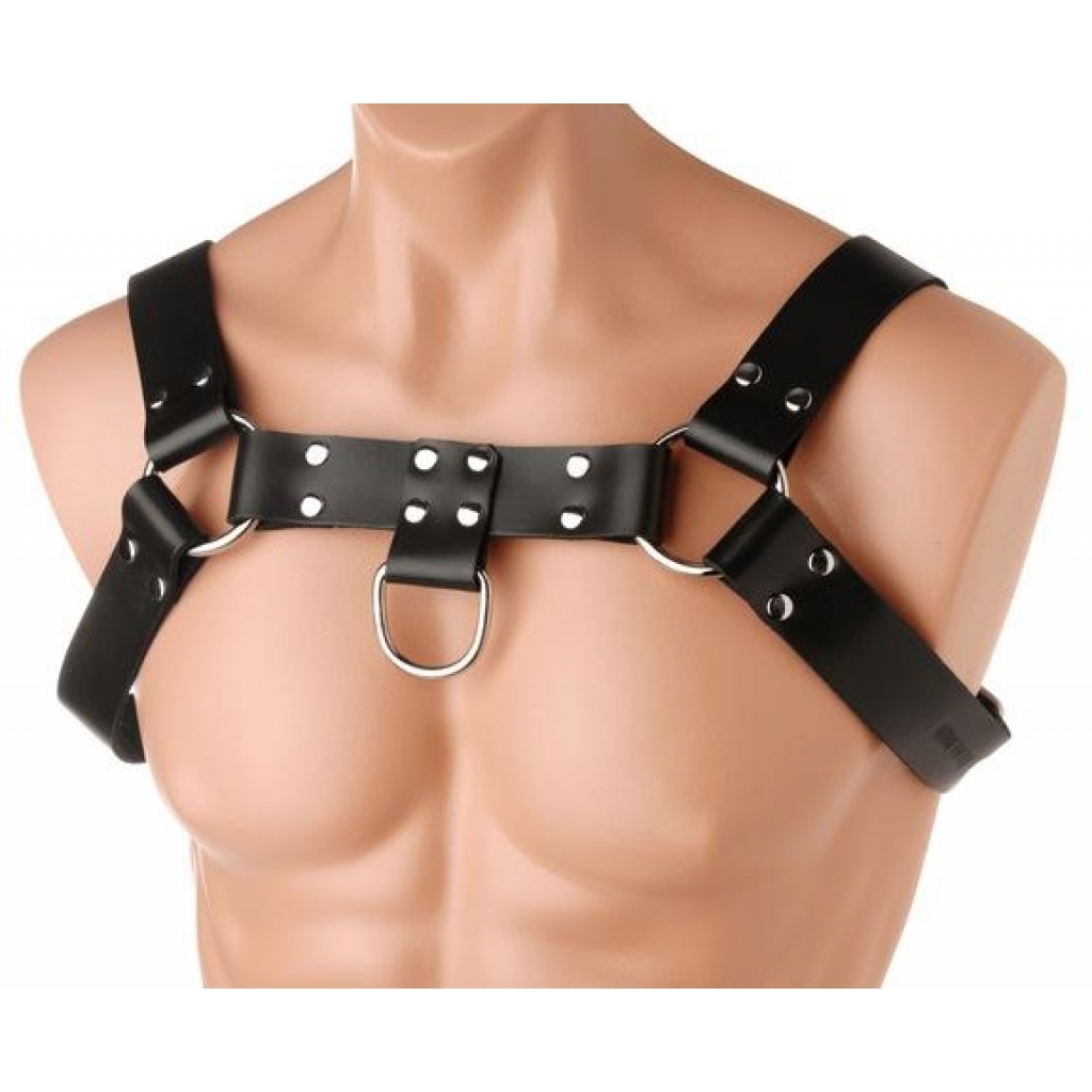 English Bull Dog Harness in Black Leather