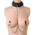 Submission Collar & Nipple Clamp Union - Silver