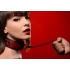 Crimson Tied Collar with Leash - Red and Black