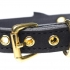 Golden Kitty Cat Bell Collar – Black/Gold