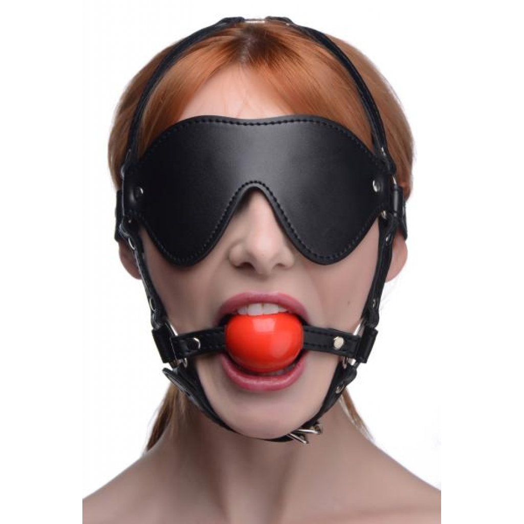 Blindfold Harness with Ball Gag - Red