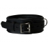 Strict Leather Premium Locking Collar - Black