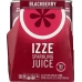 Juice 4Pk Sparkling Blackberry, 33.6 FO