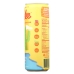 Tropical Mango Plus Ginger Cactus Water, 12 fo