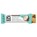 Toasted Coconut Chip Protein Bar, 1.6 oz