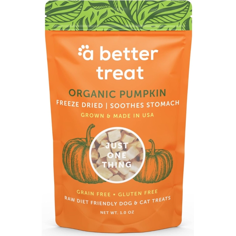Freeze Dried Raw Organic Pumpkin Dog and Cat Treats, 3 oz