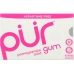 Aspartame Free Gum Pomegranate Mint, 9 pc