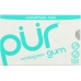 Aspartame Free Gum Wintergreen, 9 pc