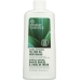 Tea Tree Oil Mouthwash, 8 oz