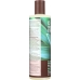 Shampoo Tea Tree Replenishing, 12.9 fl oz