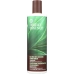 Conditioner Tea Tree Replenishing, 12.9 fl oz