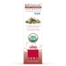 Organic Toothpaste Gel Clove Cardamom, 3 oz