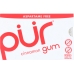 Gum Sugar-Free Cinnamon Chewing Gum, 9 pc