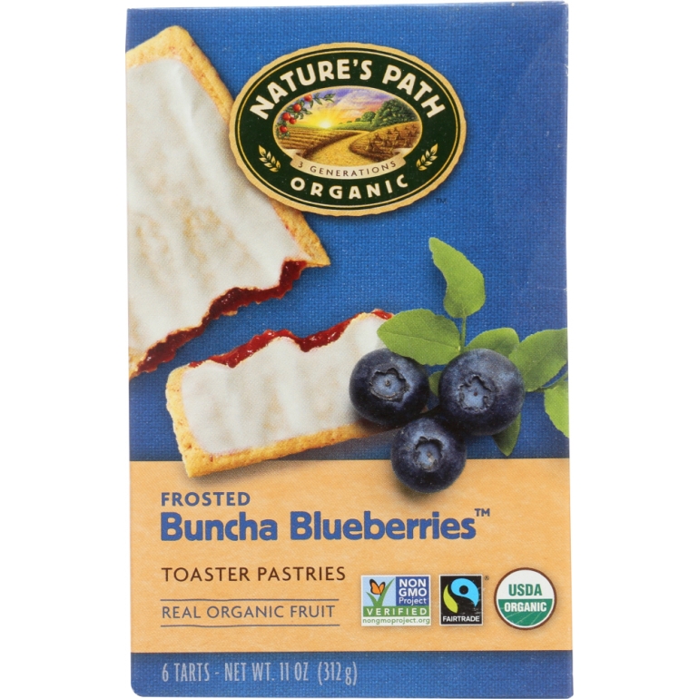 Frosted Buncha Blueberries Toaster Pastries, 11 oz