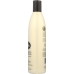 Henna Gold Highlighting Conditioner, 12 Oz