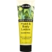 All Natural Hand & Body Lotion Cucumber Melon, 8 Oz