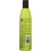 Natural Tea Tree Shampoo, 12 Oz