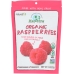 Organic Freeze Dried Raspberries, 1.3 oz