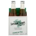 Ginger Ale Jasmne Tea 4Pk, 48 FO