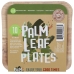 Palm Leaf Tableware, 10 pk