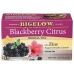 Blackberry Citrus Plus Zinc Herbal Tea, 1.06 oz