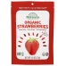 Organic Freeze Dried Strawberries, 0.8 oz