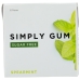 Spearmint Gum Sugar Free, 15 pc