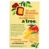 Solely Organic Whole Fruit Gummies - Mango & Orange Delight