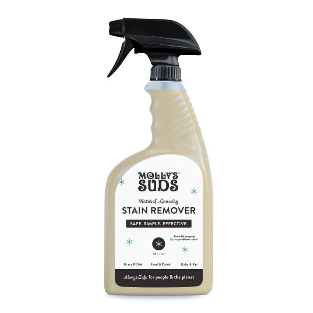 Unscented Spray Stain Remover - 16 fl oz