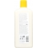 Brilliant Shine Conditioner Sunflower and Citrus - Nourishing Hair Care