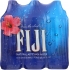 FIJI Natural Artesian Water - 6Pk (202.8 FO)