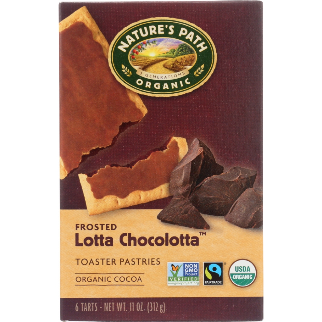 Organic Frosted Lotta Chocolotta Toaster Pastries - 11 oz